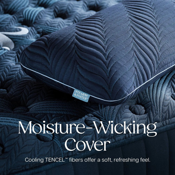 Stearns and Foster Latex Pillow