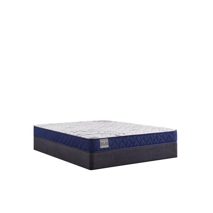 Sealy Oconee Foam Mattress