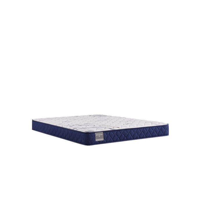 Sealy Oconee Foam Mattress