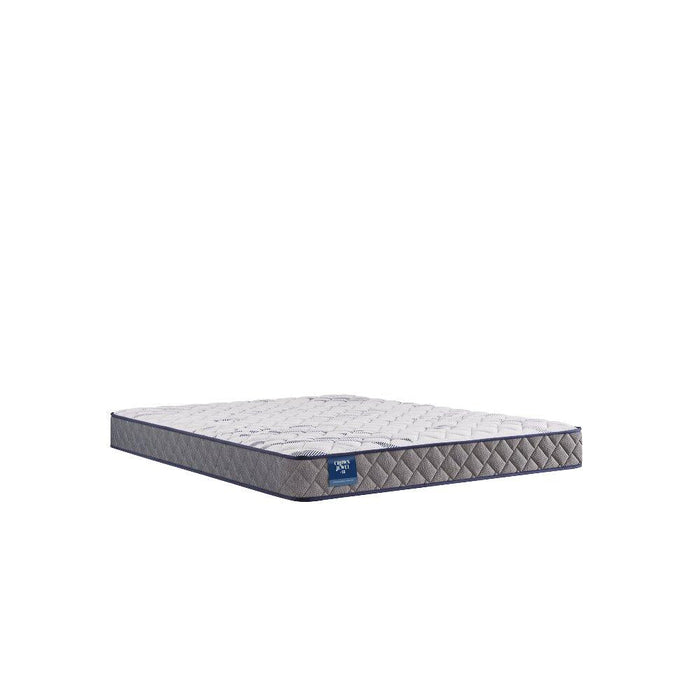 Sealy First & Park Foam Mattress