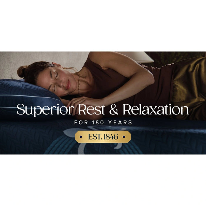Stearns and Foster Latex Pillow