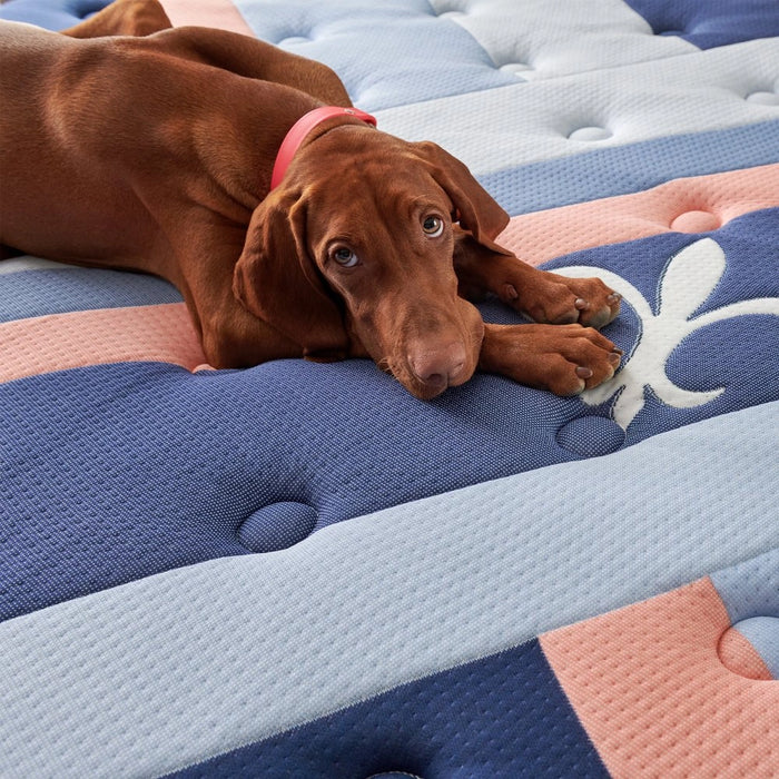 Reserve Duet Mattress